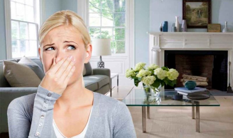 Fresh Air, Fresh Home: Is Your HVAC System the Culprit Behind Musty Smells